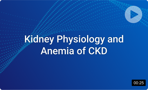 kidney-physiology