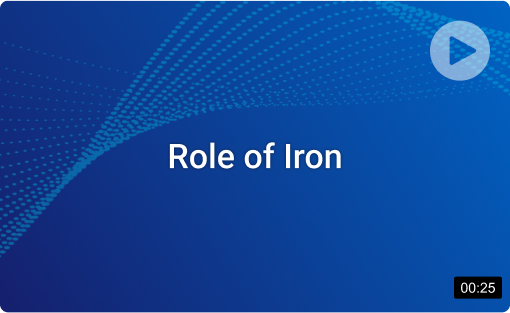 role-of-iron
